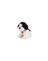 dante Maskotka Nowofundlanczyk Sweet Collection 51188 TRUDI - nr 1