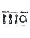 iiyama Monitor 24 cale XUB2495WSU-B3 IPS,PIVOT,16:10,DP,HDMI,VGA,4xUSB,2x2W - nr 21