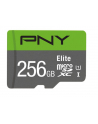 pny Karta pamięci MicroSDXC Elite 256GB P-SDU256V11100EL-GE - nr 1
