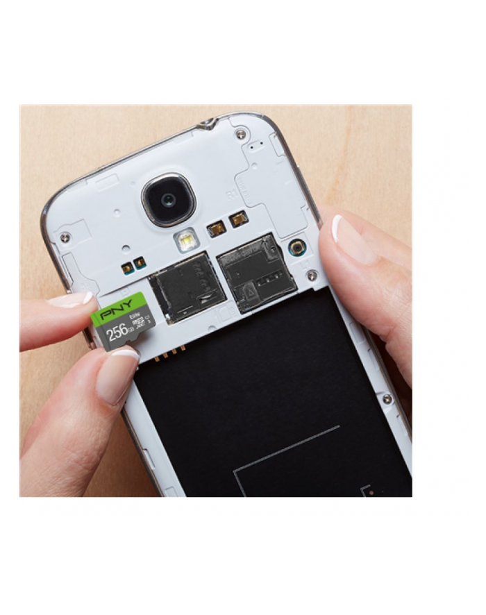 pny Karta pamięci MicroSDXC Elite 256GB P-SDU256V11100EL-GE główny