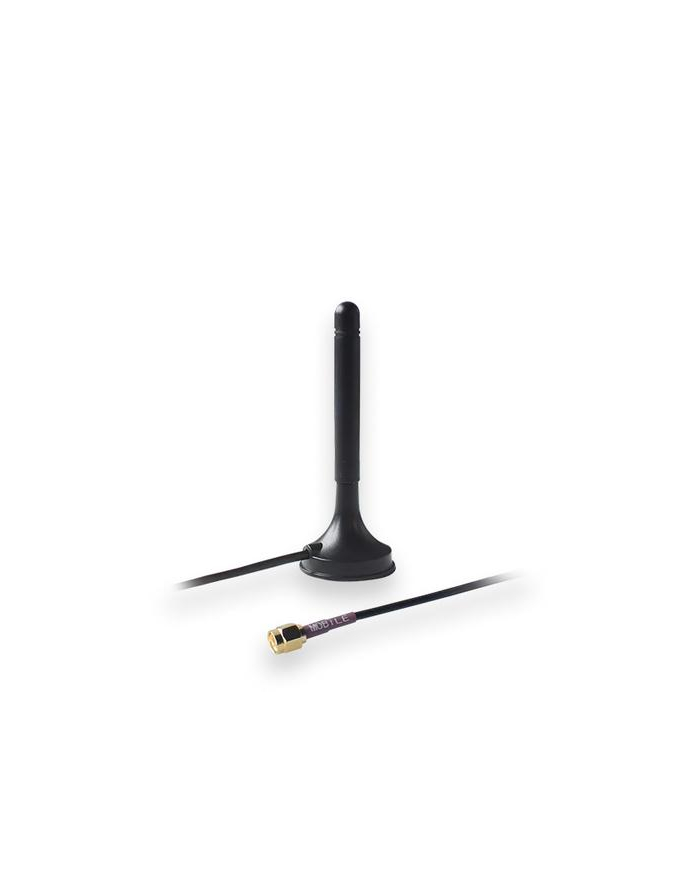 teltonika networks TELTONIKA mobile magnetic sma antenna główny