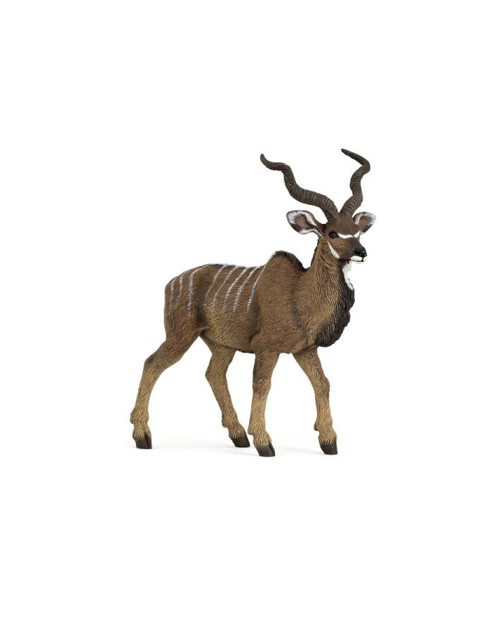 PAPO 50104 Antylopa Kudu wielka główny