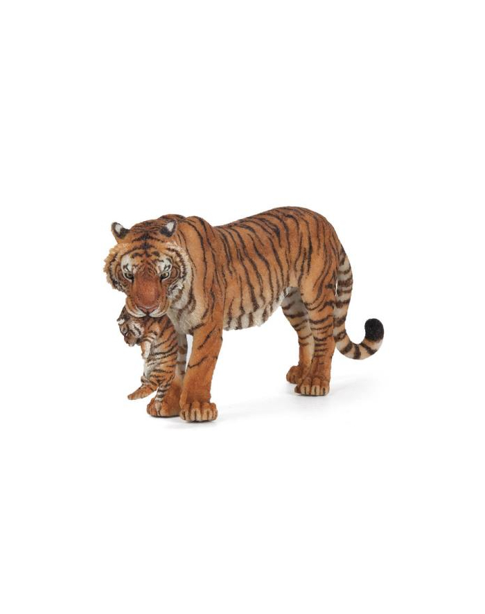 PAPO 50118 Tygrysica z młodym główny
