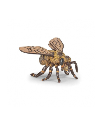 PAPO 50256 Pszczoła