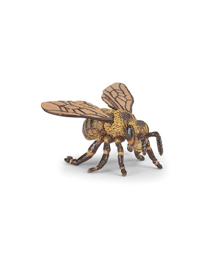 PAPO 50256 Pszczoła główny