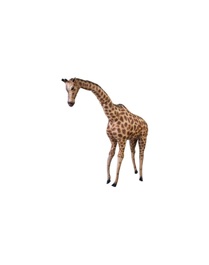 norimpex Żyrafa gigant 66cm 21544 główny