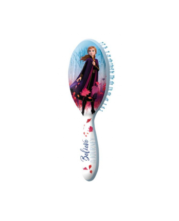 Szczotka do włosów Frozen 2. Kraina Lodu WD20559 Kids Euroswan