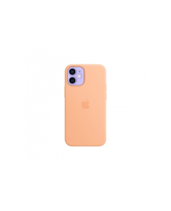 apple Etui iPhone 12 Mini Silicone Cantaloupe