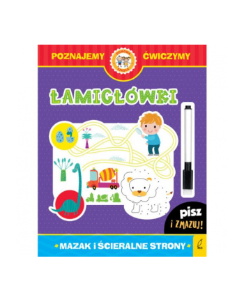 foksal Książka Naklejam, koloruję, rozwiązuję. Łamigłówka