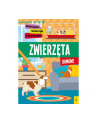 foksal Książka Naklejam, koloruję, rozwiązuję. Zwierzęta domowe - nr 1