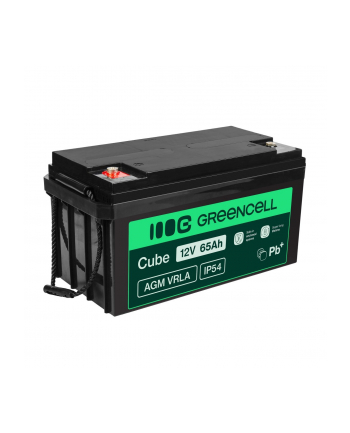 green cell Akumulator AGM VRLA 12V 65Ah