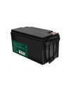 green cell Akumulator AGM VRLA 12V 65Ah - nr 19