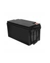 green cell Akumulator AGM VRLA 12V 65Ah - nr 9