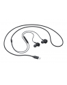 samsung Słuchawki Type C Earphone Black EO-IC100BBEG(wersja europejska) - nr 19