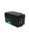 green cell Akumulator AGM VRLA 12V 65Ah - nr 11