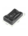 TECHLY Konwerter AV Euro SCART do HDMI 720p/1080p - nr 11