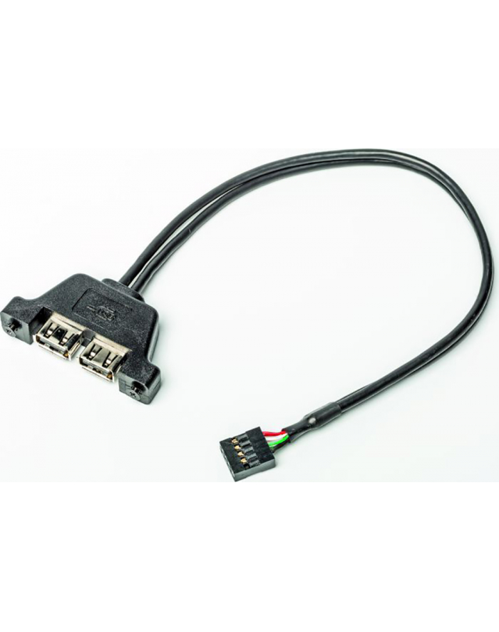 ASROCK D-ESKMINI 2XUSB2.0 CABLE główny