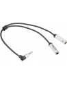 DeLOCK headset adapter 3.5mm 4pin jack plug> 2x 3.5mm 3pin jack socket (CTIA), Y-cable - nr 2