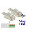 DeLOCK RJ45 crimp + cut plug Cat.6 STP - nr 10