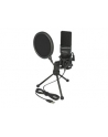 DeLOCK USB condenser microphone set - nr 15