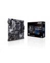 Asus PRO B550M-C / CSM B550 - Socket AM4 - Mainboard - nr 19