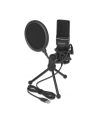 DeLOCK USB condenser microphone set - nr 10