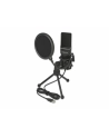 DeLOCK USB condenser microphone set - nr 11