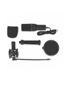 DeLOCK USB condenser microphone set - nr 19