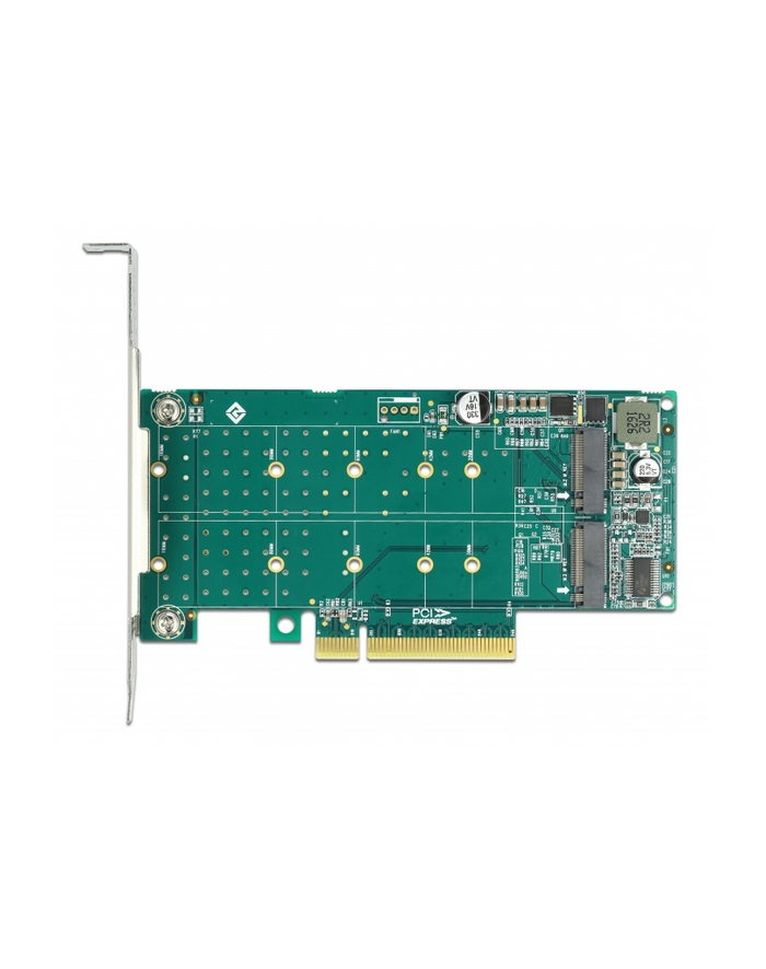 DeLOCK PCI Express x8 card to 2 x internal NVMe M.2 Key M - bifurcation, controller główny