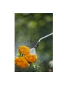 Gardena pressure sprayer 5 L Comfort - 11130-20 - nr 1