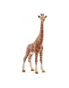 Schleich giraffe cow - 14750 - nr 1