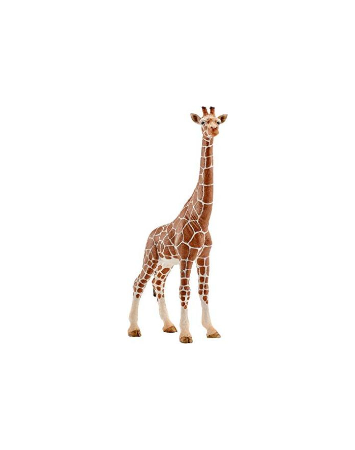 Schleich giraffe cow - 14750 główny