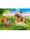 Playmobil collecting pony '' Connemara '' - 70516 - nr 2