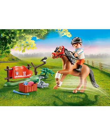 Playmobil collecting pony '' Connemara '' - 70516