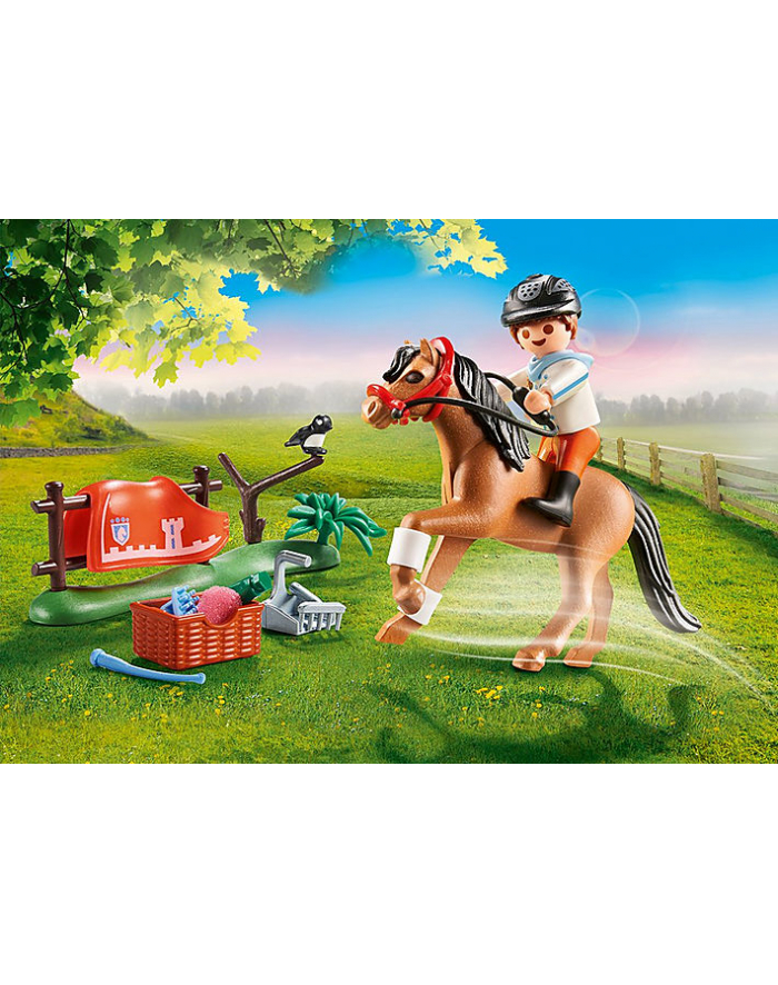Playmobil collecting pony '' Connemara '' - 70516 główny