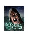 handygames The Mystery of the Druids - nr 4