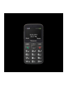 Telefon komórkowy Panasonic KX-TU160EXB Czarny - nr 1