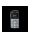 Telefon komórkowy Panasonic KX-TU160EXG Szary - nr 3
