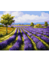 Malowanie po numerach Pole lawendy 40x50cm PC4050132 IPICASSO - nr 1