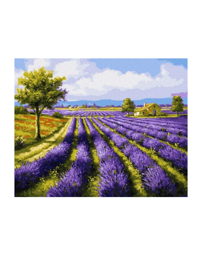 Malowanie po numerach Pole lawendy 40x50cm PC4050132 IPICASSO główny