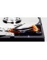 western digital Dysk Blue 2TB 3,5'' 256MB SATAIII 7200 RPM - nr 9