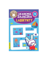 booksandfun Książka Akademia Zajączka. Labirynty. Books and fun - nr 1