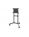 neomounts by newstar Mobilny stojak podłogowy NS-M1250 BLACK - nr 30