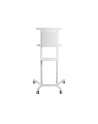 neomounts by newstar Mobilny stojak podłogowy NS-M1250 WHITE - nr 56