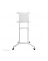 neomounts by newstar Mobilny stojak podłogowy NS-M1250 WHITE - nr 68