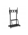 techly Stojak LCD 55-100 cali 150 kg - nr 23