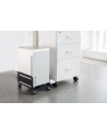 neomounts by newstar Uchwyt mobilny na PC CPU-M100 BLACK - nr 40