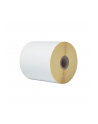 BROTHER Direct thermal label roll 102mm continues 58 meter 8 rolls/carton - nr 10