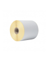 BROTHER Direct thermal label roll 102mm continues 58 meter 8 rolls/carton - nr 13