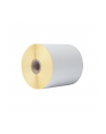 BROTHER Direct thermal label roll 102mm continues 58 meter 8 rolls/carton - nr 3